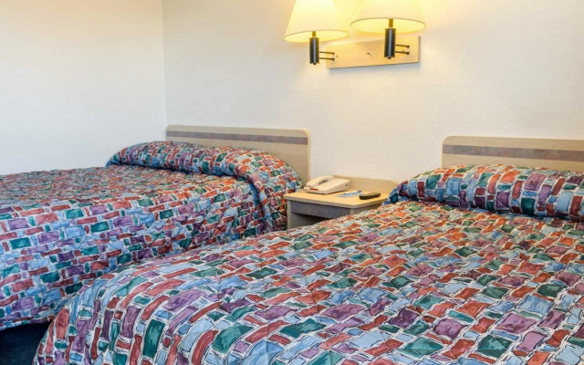 Loyalty Inn