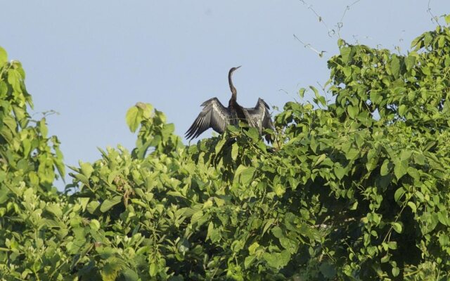 Maruni Sanctuary by KGH Group