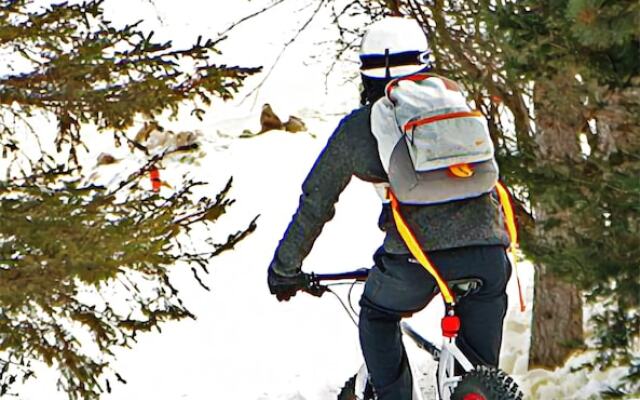 Villas at Giants Ridge