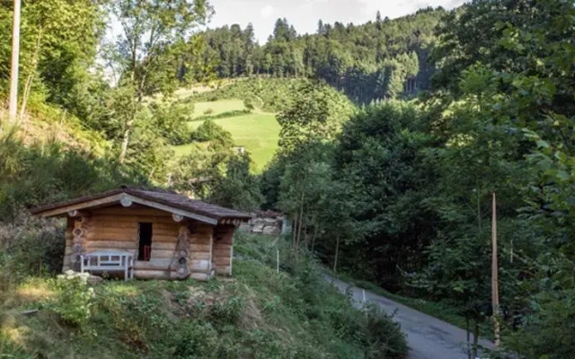 Ferienhaus Froschkönig