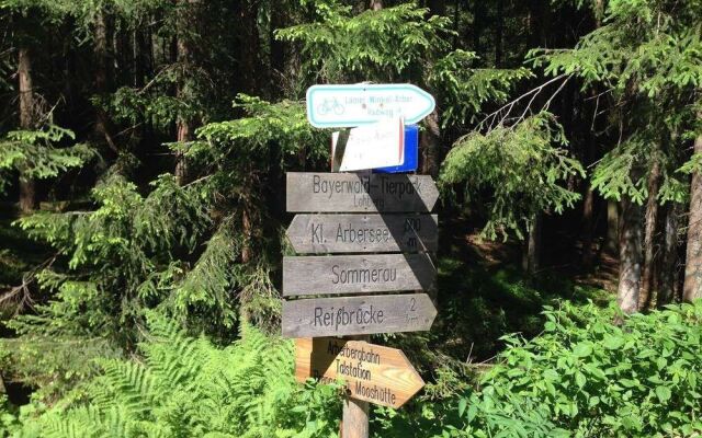 Lovely Holiday Home in Viechtach near Forest