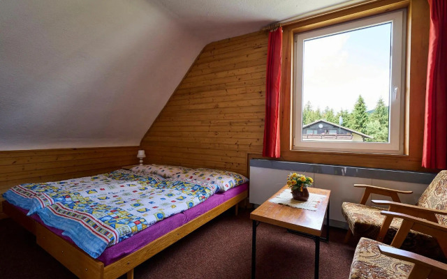 Apartment Nový Svět - HRA150