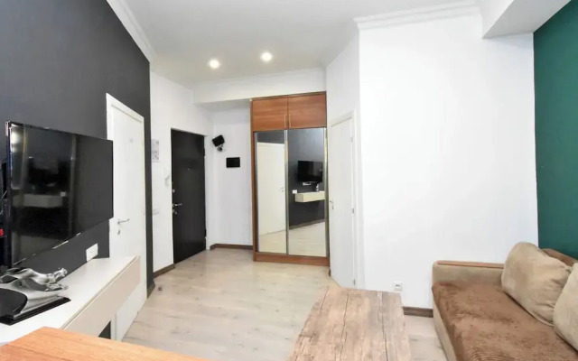 Apartment on Pushkin street