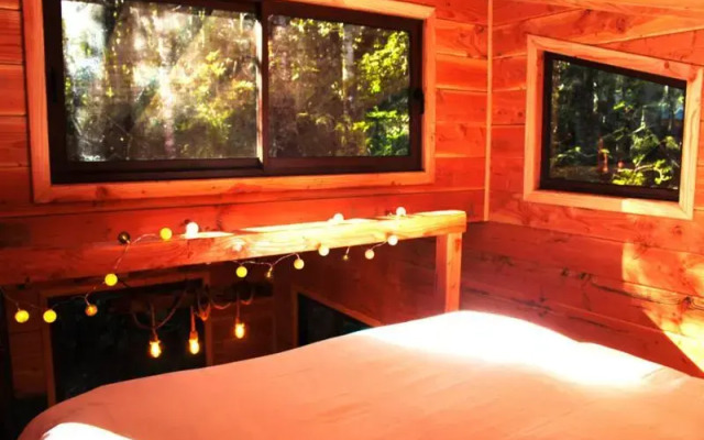 Cabanas Bosque Milenario