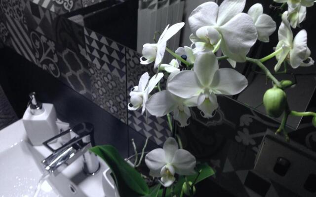 Design Suite Cavagna