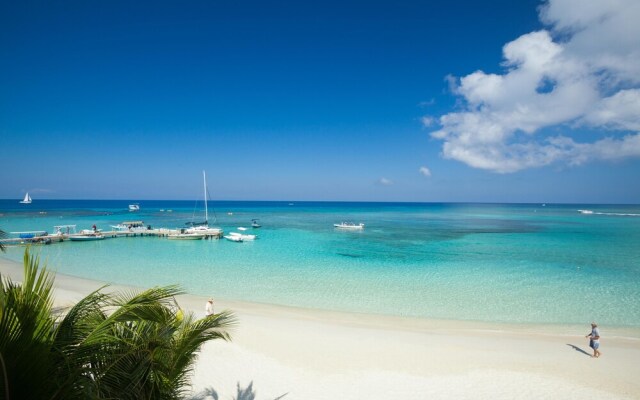 Coral Sands 4