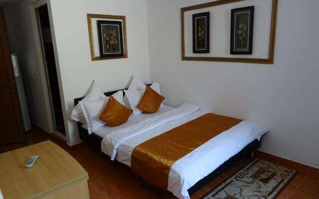 Pension Cuibul Viselor