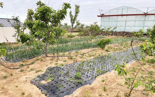 Jeju Sanammae House Pension