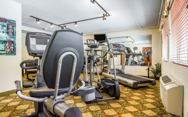Maine Evergreen Hotel, Ascend Hotel Collection