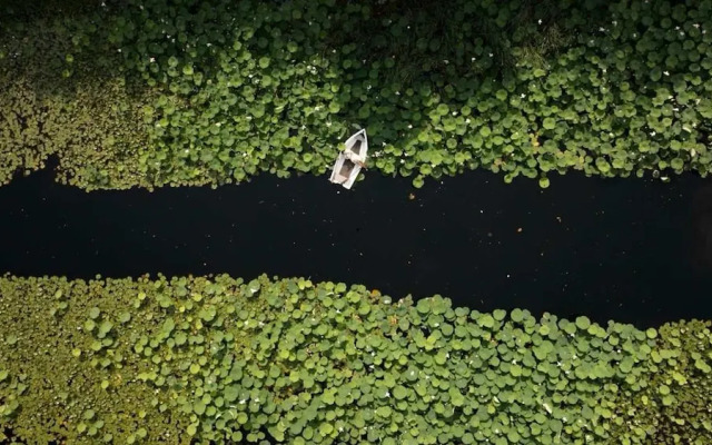 Tranquil 1BR Villa in Revislate