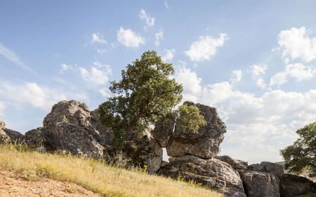 Monte da Esperança