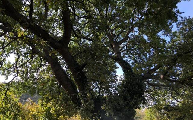 Glamping Poggio Imperiale Marche