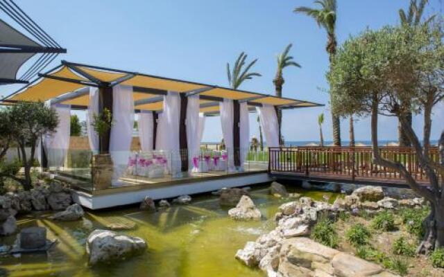 Resort 5 stars Paphos