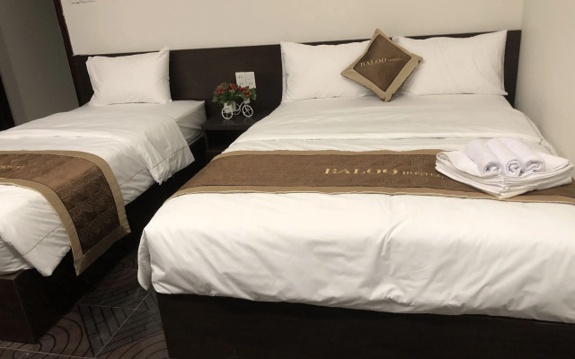 Baloo Hostel