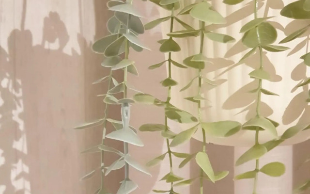 Vivenda Oliveira - Alojamento Local