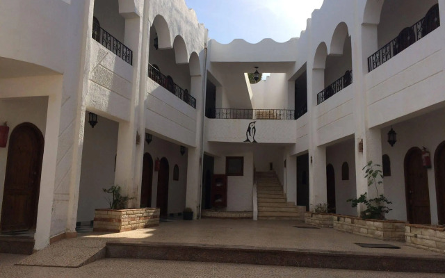 Penguin Village Dahab