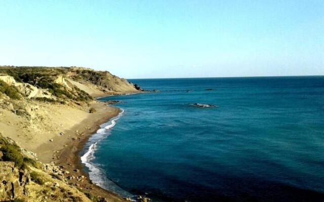 Antonis's Palm House