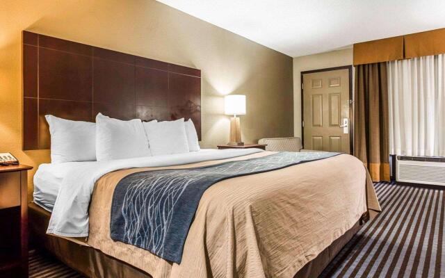 Comfort Inn & Suites Ballpark Area