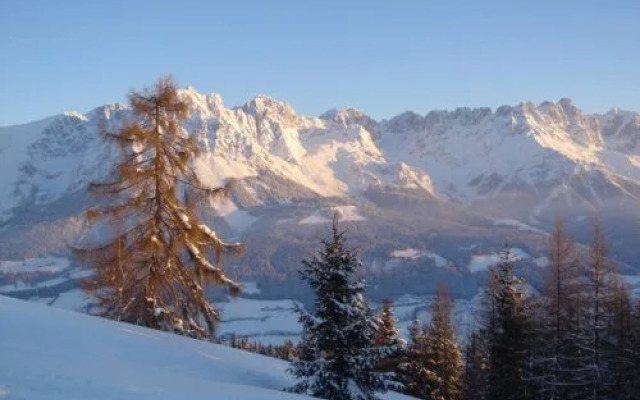 Pension Apartment Steiner