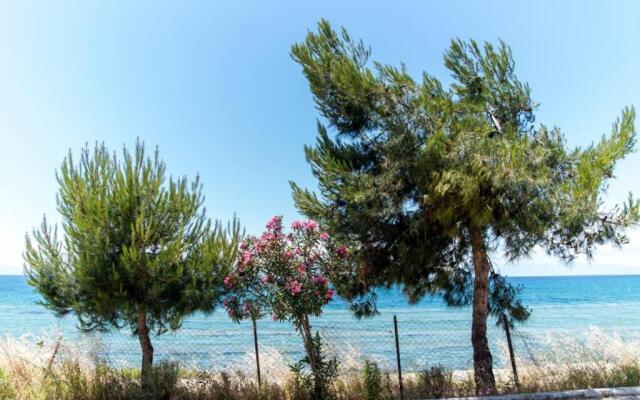 Seafront 2 bedrooms apartment