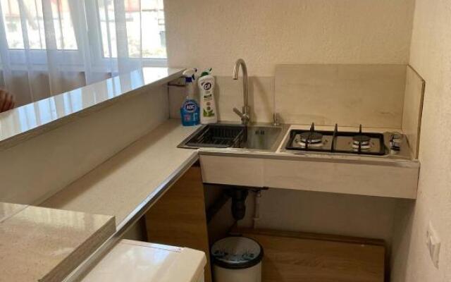 Apartament at Kazbegi