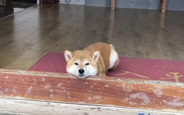 Wengu 1970 Panorama Holiday Hotel