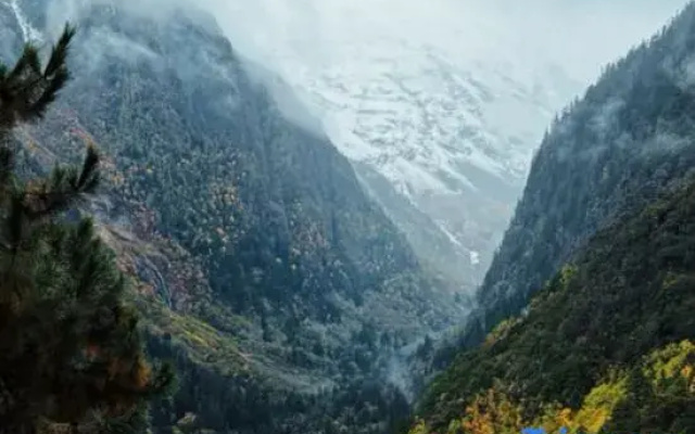 Weima Pichai Inn (Shangyubeng Branch)