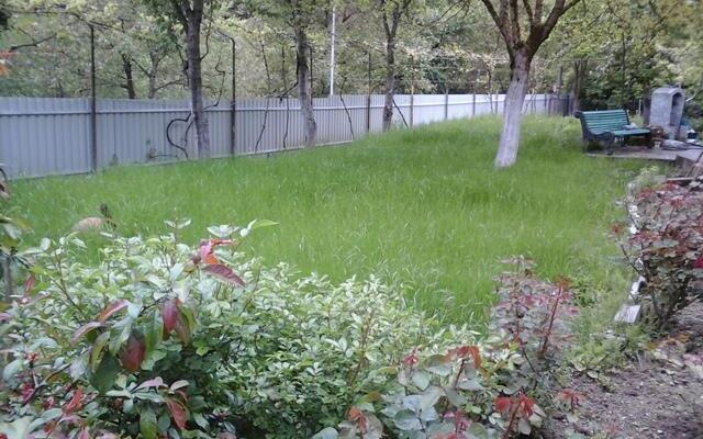 Iraklis Homestay