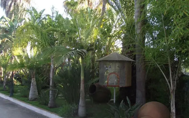 Quinta Africana
