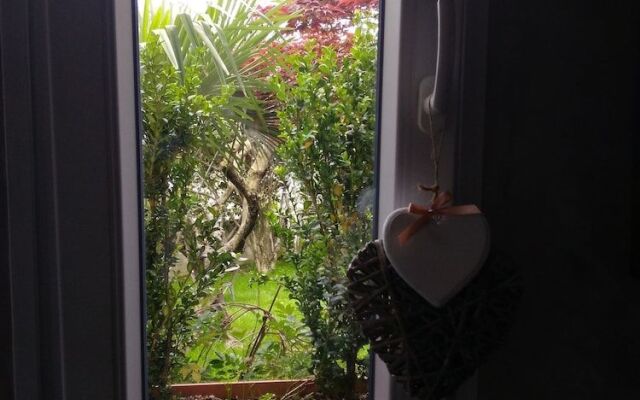 B&B Il Bassotto