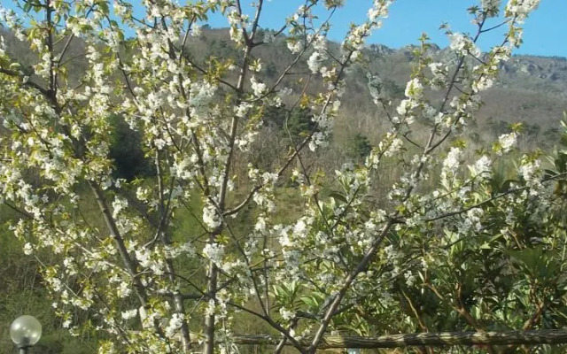 Agriturismo Del Ponte