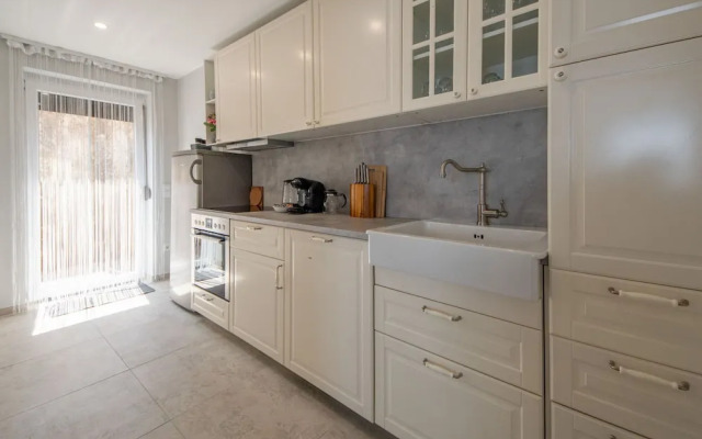 Laurus Tuli Evica in Tuli Evica