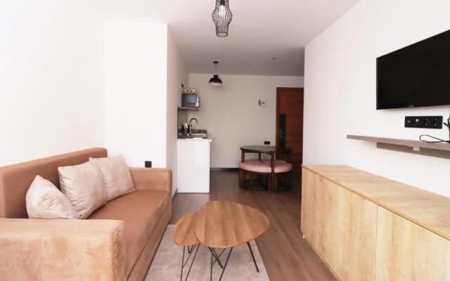 Bright and Cozy 1BR Apartment In Marshall Gudauri Project