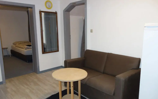 Tolstov-Hotels Large 3 Room Apartment with Garden