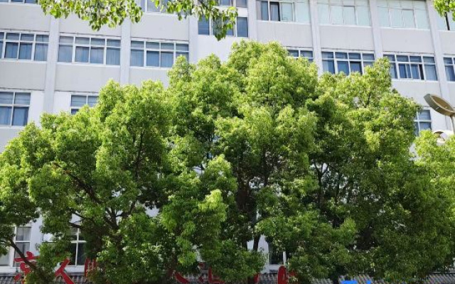 Jingjiu Caitong Grand Hotel (Zhaotong Phoenix Food City) – Exterior – Zhaotong