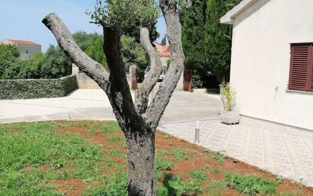 Viktor Rooms and Apartments