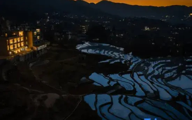 Rice Field Ideal | Blue Terraced Fields Panoramic View Homestay