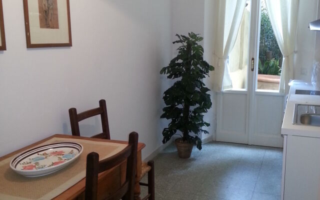 Little Garden Donatello