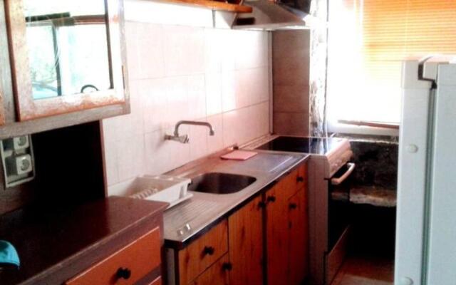 Antonis's Palm House