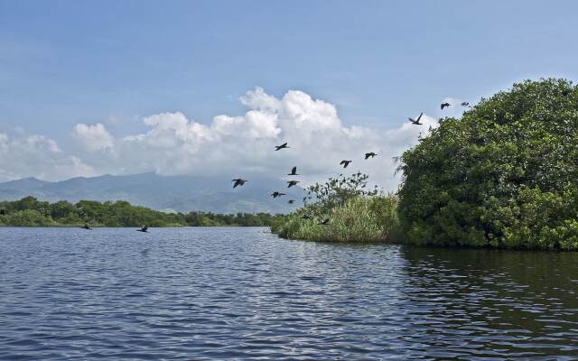 Marea Beachfront Villas