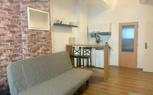 Žižkov Cosy Studio Apartments
