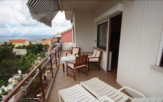 Apartments Grof