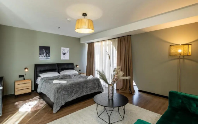 Super Stylish and cozy 2 bedroom 4or6 people Apartment in key location in Marshall Gudauri Project Ski Resort