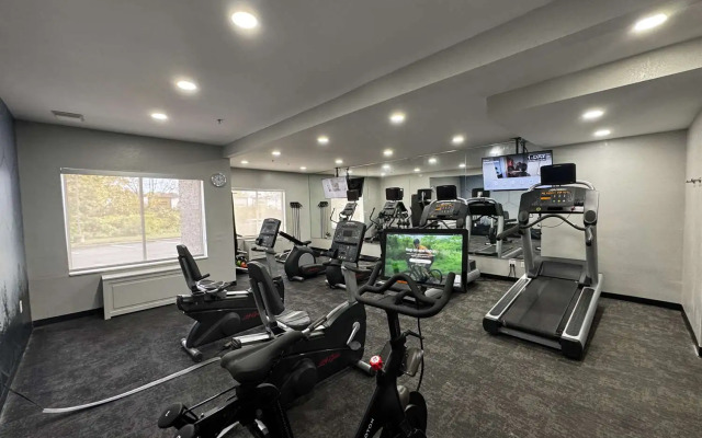 Best Western Plus Fenton