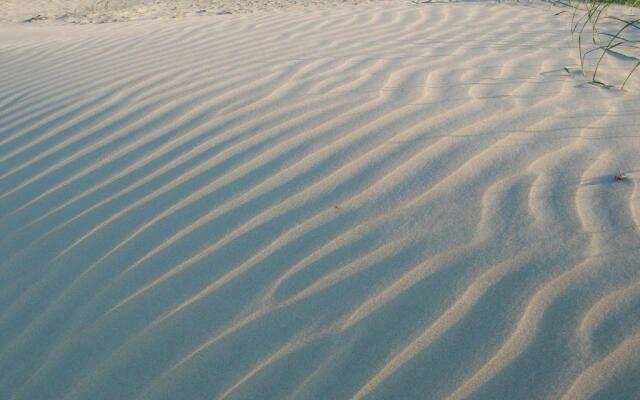 Lachmöwe - [#29741]