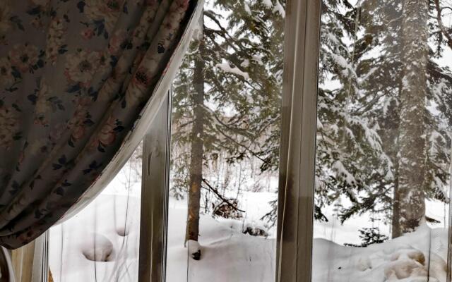 Сила Сибири