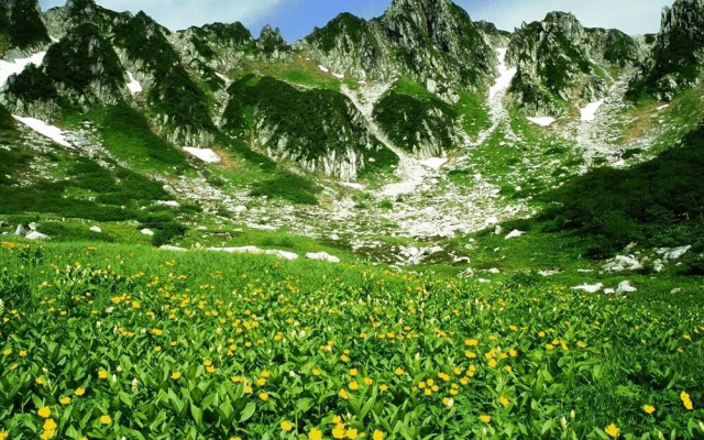 BYAKU Narai