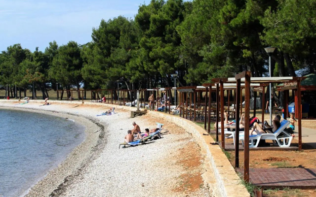 Studio Novigrad 2536a
