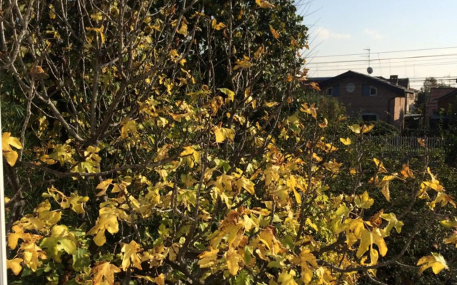 Rhossini Apartments & Rooms - Fiera Milano MIND Rho Stazione