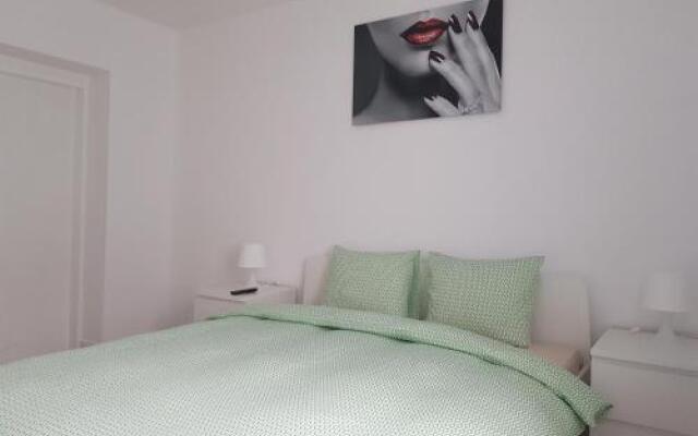 Luxury Apartment